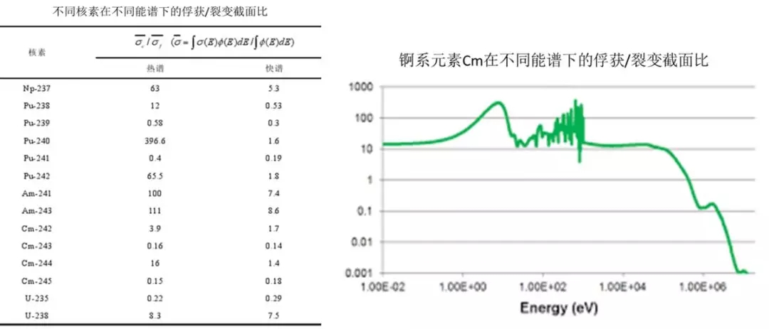 核燃料堆芯_核废料处理最新技术_核废料堆芯