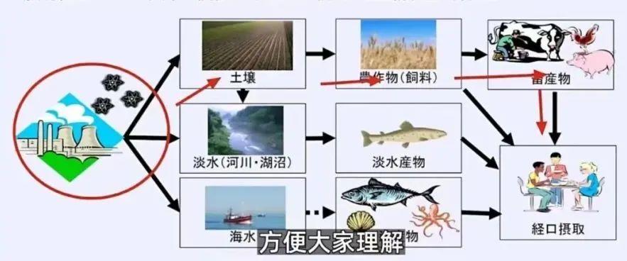 日本排放核污水排放了没有_如何停止日本核污水排放_日本排放核污水违反国际法