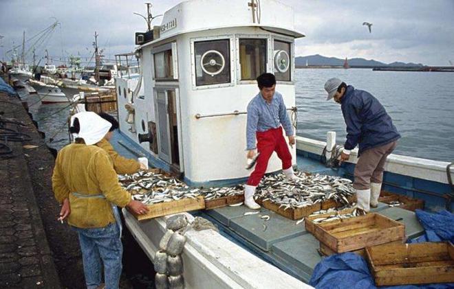 日本核污水符合标准吗_日本核污水官方辟谣_日本核污水超标