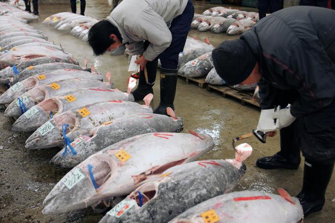 日本核污水符合标准吗_日本核污水官方辟谣_日本核污水超标